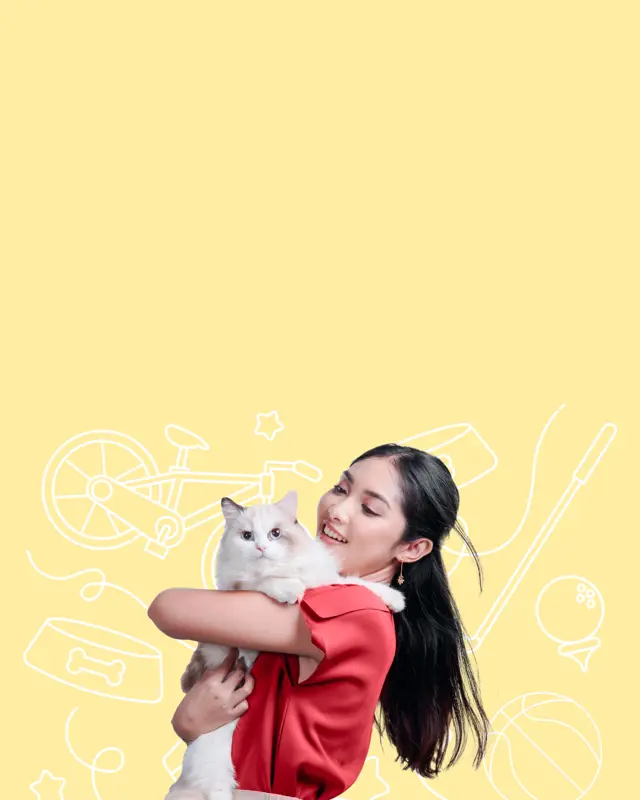 Pet
