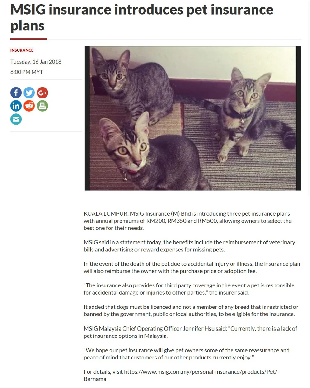 The+Star+Online+ +16+January+2018